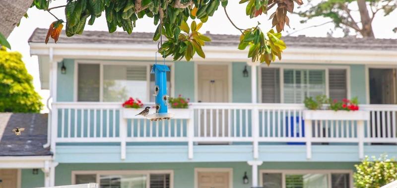 汽车旅馆  Bluebird Inn