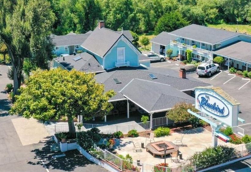 汽车旅馆  Bluebird Inn