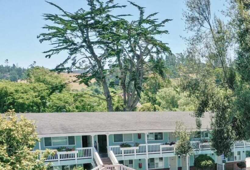 汽车旅馆  Bluebird Inn