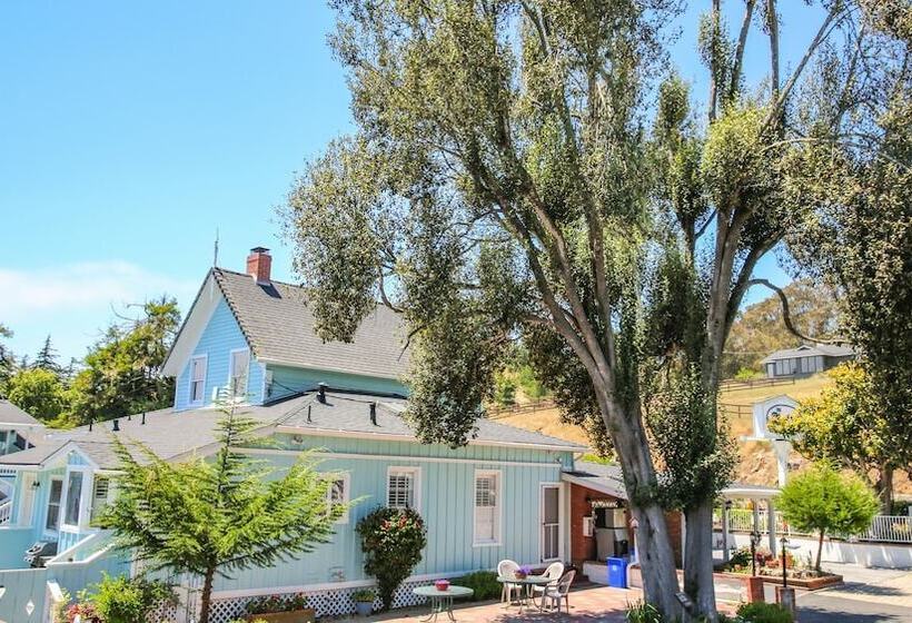 汽车旅馆  Bluebird Inn