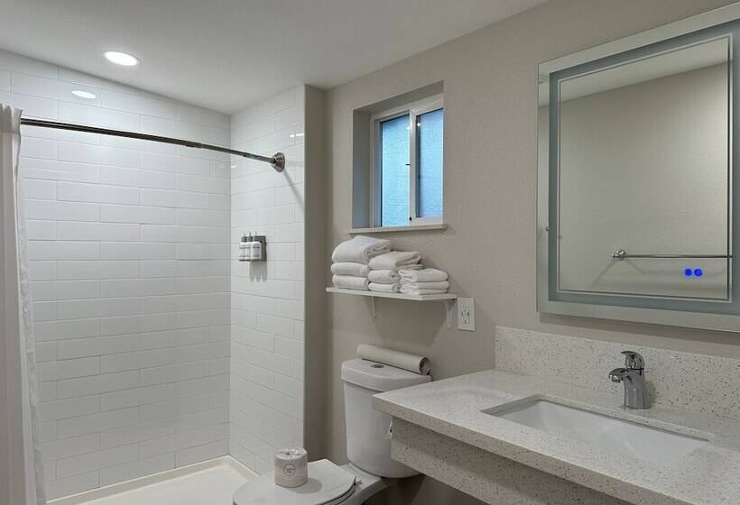 汽车旅馆  Bluebird Inn