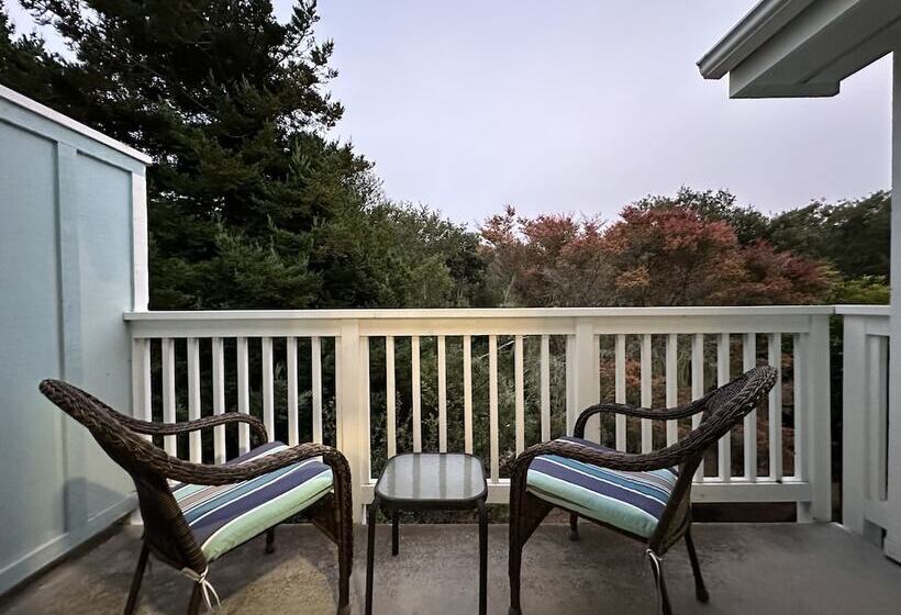 汽车旅馆  Bluebird Inn