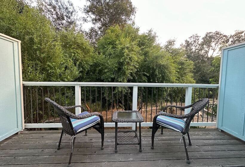 汽车旅馆  Bluebird Inn