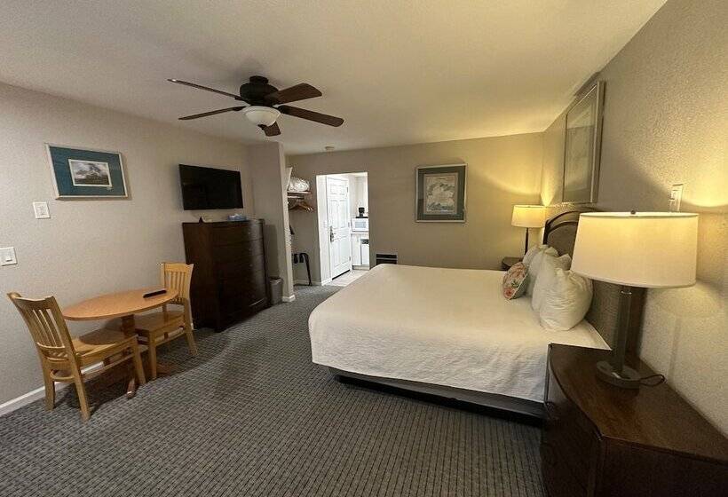 汽车旅馆  Bluebird Inn