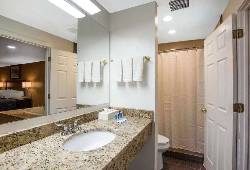 مُتل Rodeway Inn Lyons  La Grange