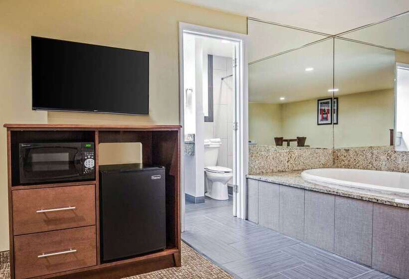 مُتل Rodeway Inn Lyons  La Grange