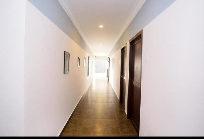 هاستل Thomson Garden