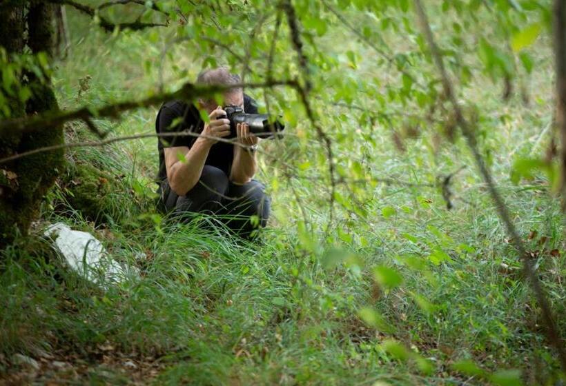 צימר Mas De Peyrelongue