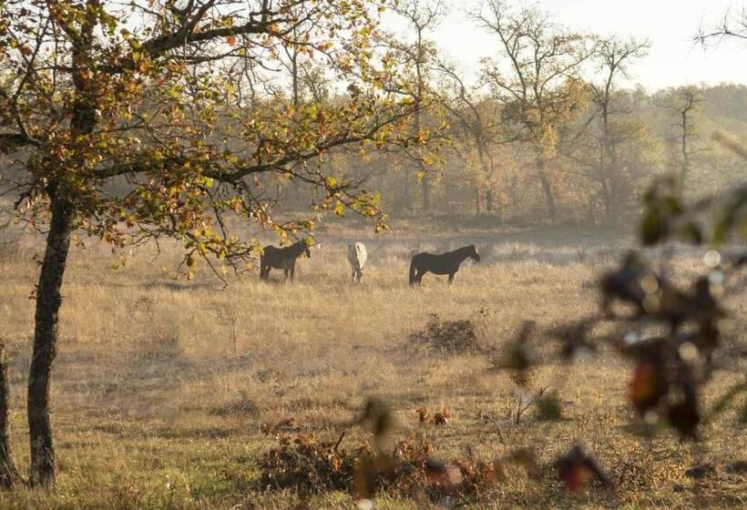 צימר Mas De Peyrelongue