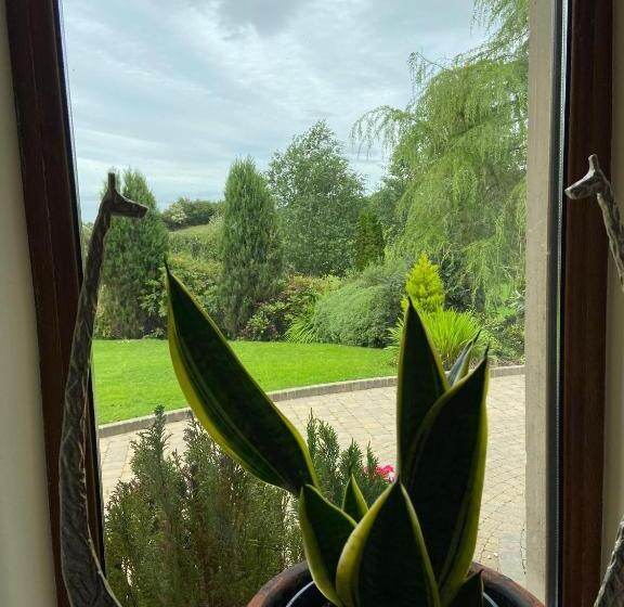 Corness House B&b
