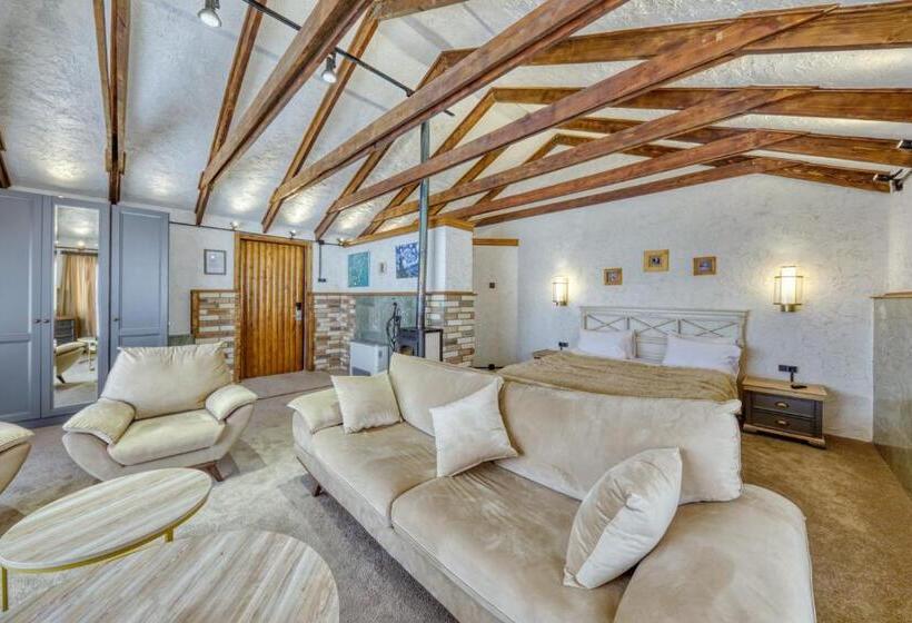 فندق Alpine Castle