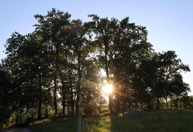 فندق Balentziaga