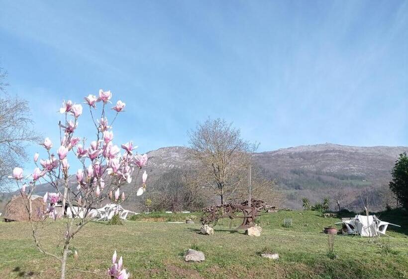 فندق Balentziaga