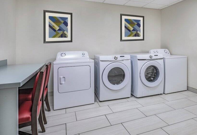 فندق Holiday Inn Express & Suites   Ruskin, An Ihg