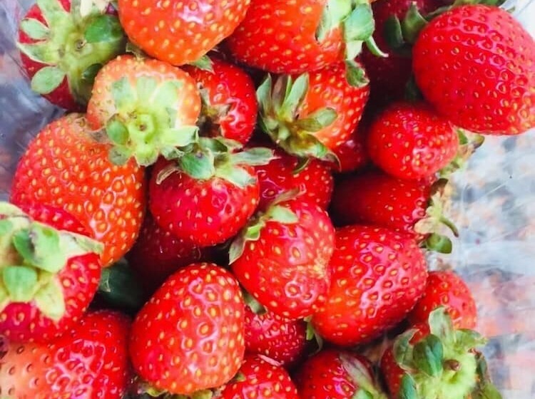 בית מלון כפרי Suvari