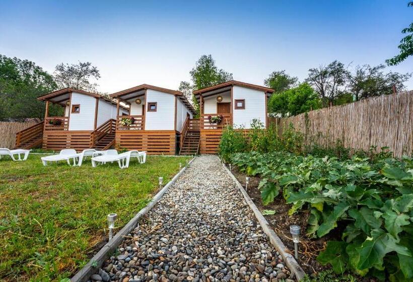 膳宿费 Flori Haus Saschiz