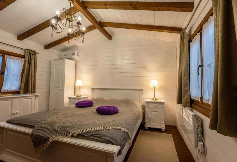 膳宿费 Flori Haus Saschiz