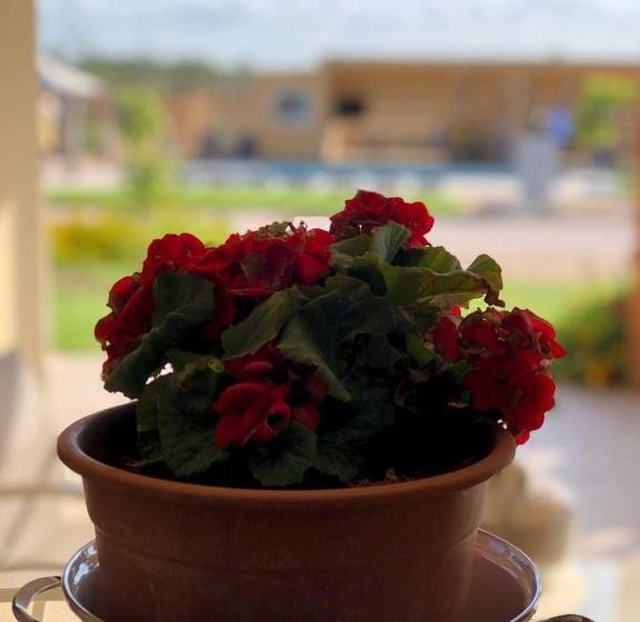 פנסיון Le Stanze Di Chiara