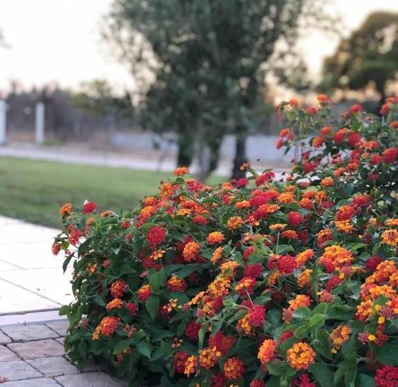 פנסיון Le Stanze Di Chiara