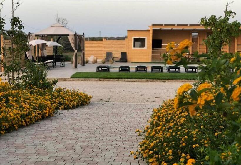 פנסיון Le Stanze Di Chiara