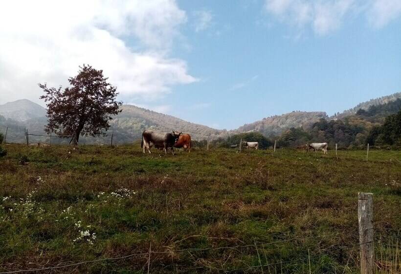 ペンション Villa Dell'arte