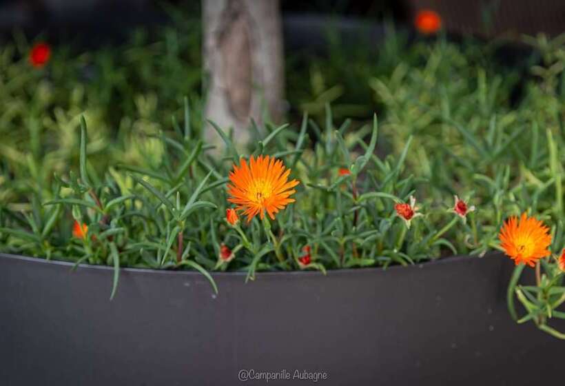 בית מלון כפרי Campanile Marseille Est  Aubagne