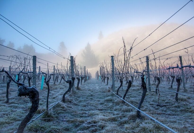 هتل Gibbston Valley Lodge And Spa