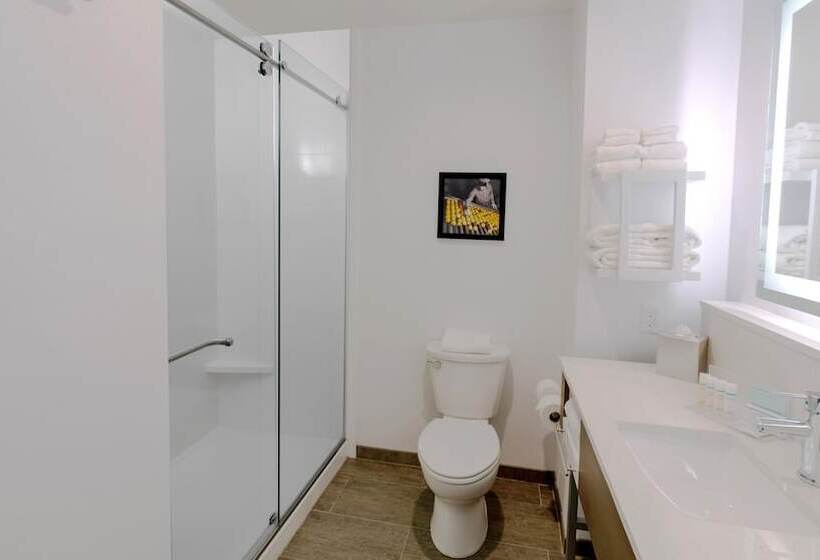 בית מלון כפרי Hampton Inn Riverside Downtown