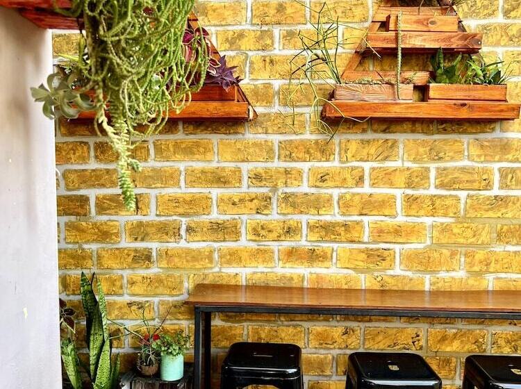 פנסיון Chamos Hostel Cultural