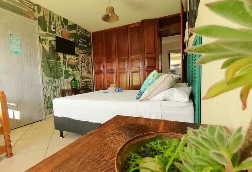 פנסיון Chamos Hostel Cultural