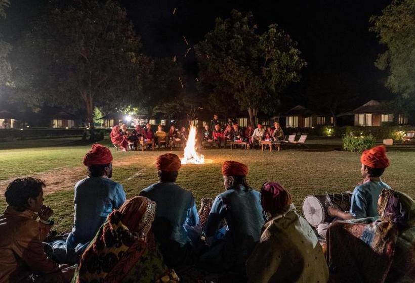 منتجع Dera Village  The Clement Retreats