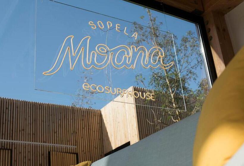 Moana Eco Surf House   Hostel