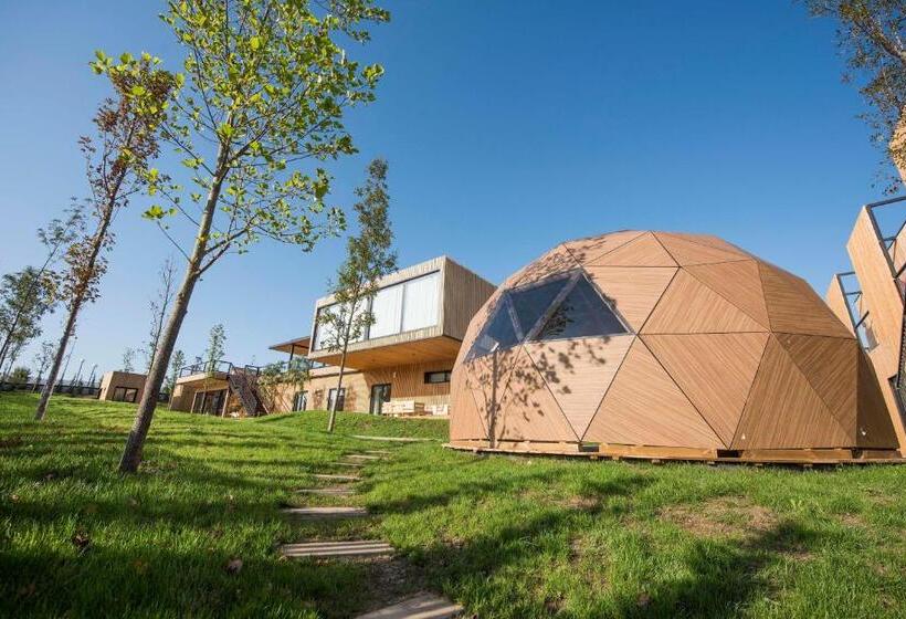 Moana Eco Surf House   Hostel