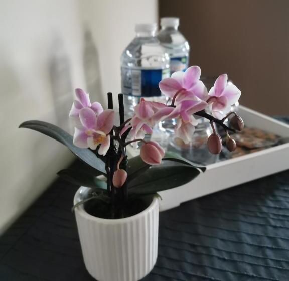 민박 La Ferme De La Papote