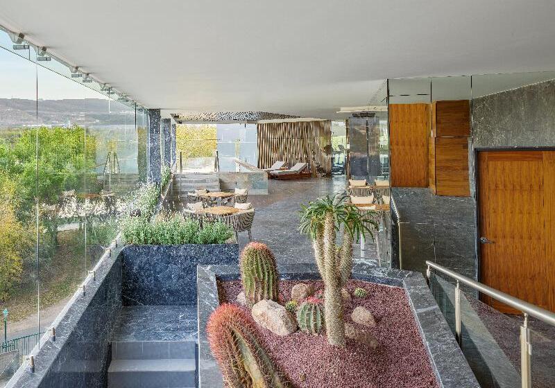 Отель Fiesta Americana San Luis Potosi