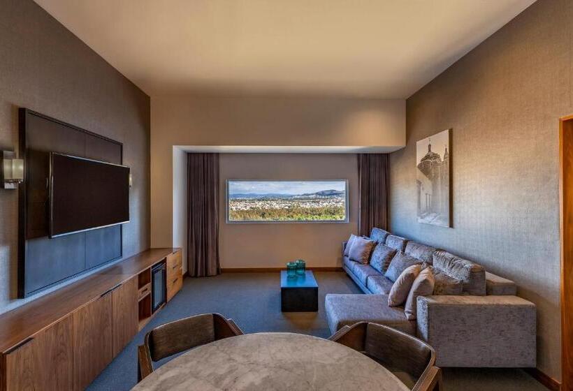 Отель Fiesta Americana San Luis Potosi