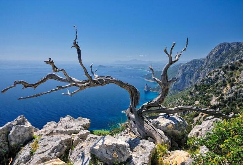 בית מלון כפרי Goloritze