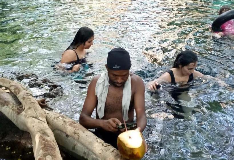 Отель Kilimanjaro Mad Monkey S