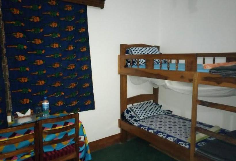 Отель Kilimanjaro Mad Monkey S