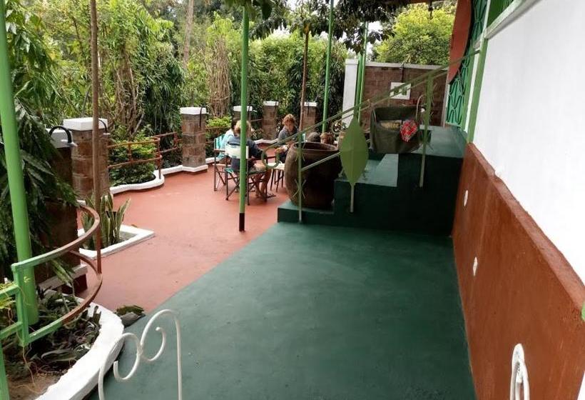 Отель Kilimanjaro Mad Monkey S