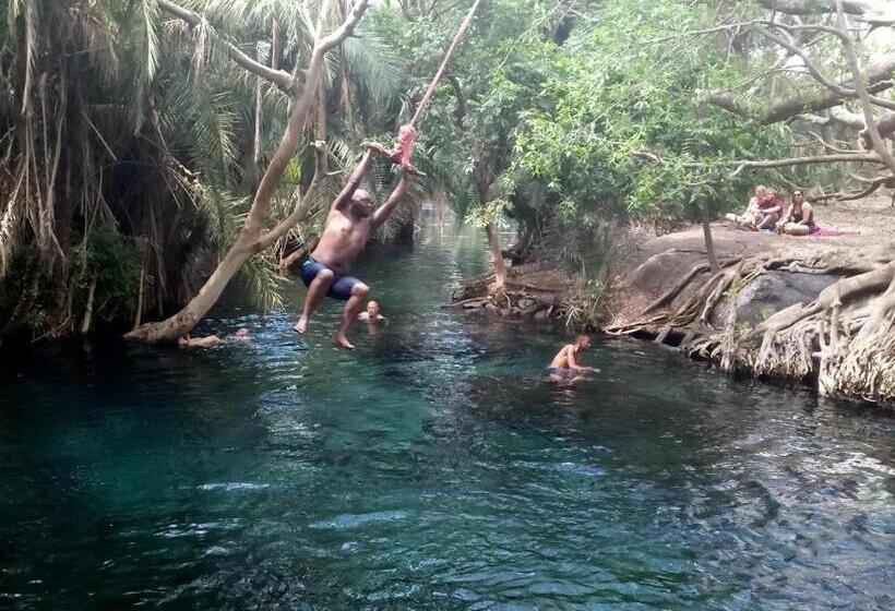 Отель Kilimanjaro Mad Monkey S