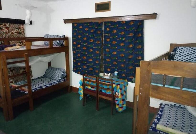 Отель Kilimanjaro Mad Monkey S