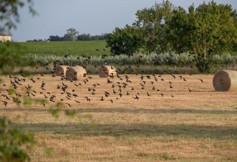 酒店 La Maison D'estournel