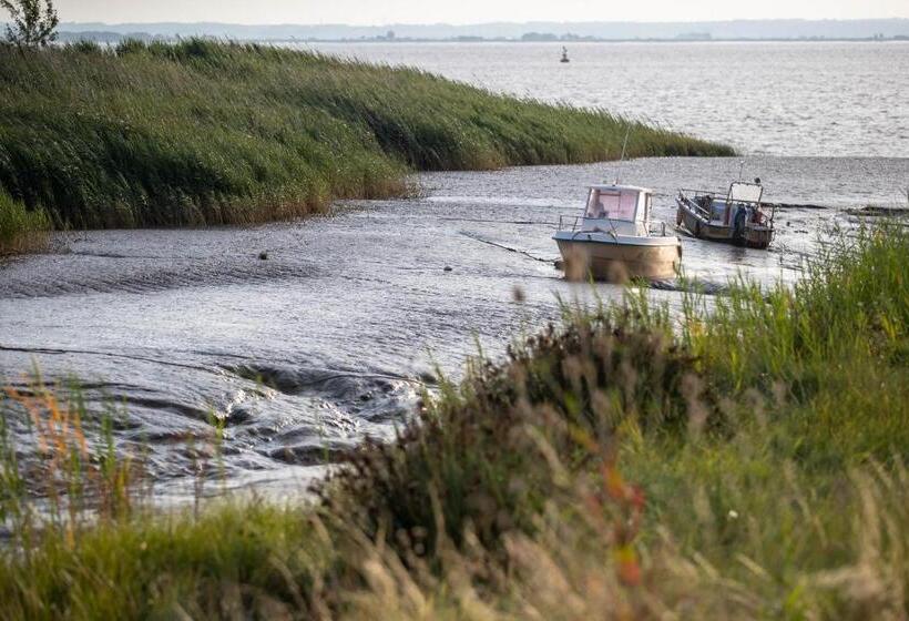 酒店 La Maison D'estournel