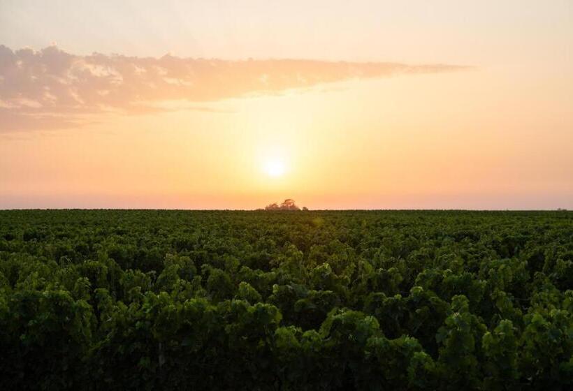 酒店 La Maison D'estournel