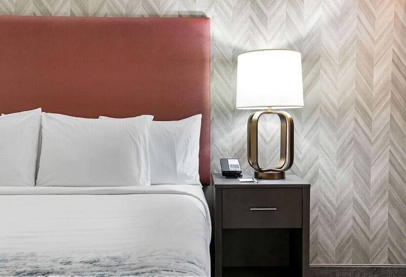 酒店 La Quinta Inn & Suites Dfw West Glade Parks