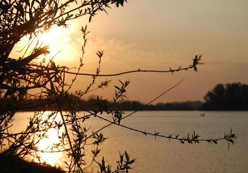 酒店 Mercedes Rambla