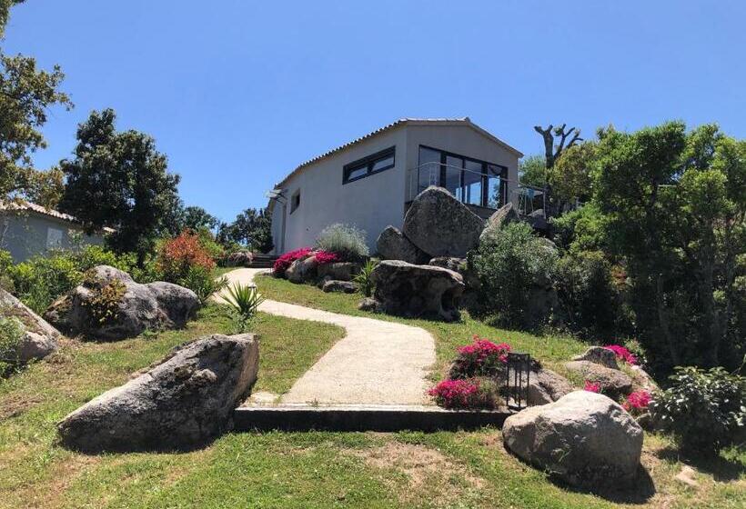 Пансион A Camerina