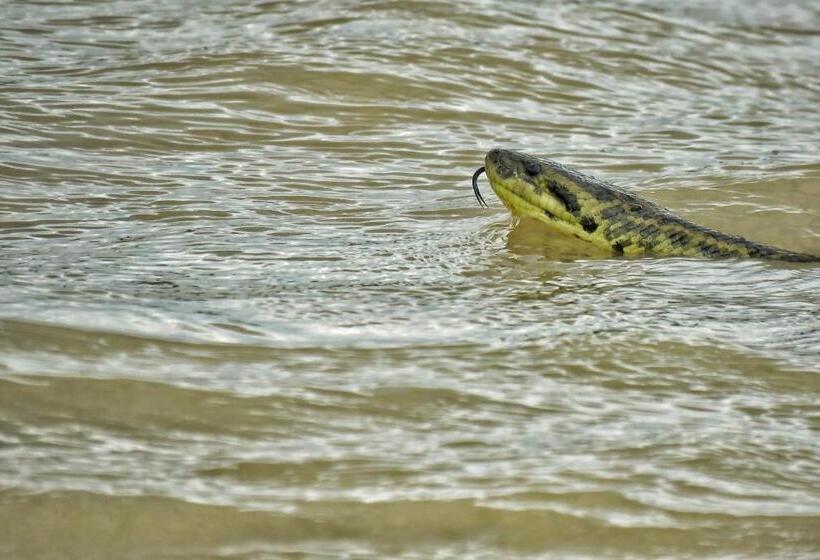 膳宿费 Aymara Lodge