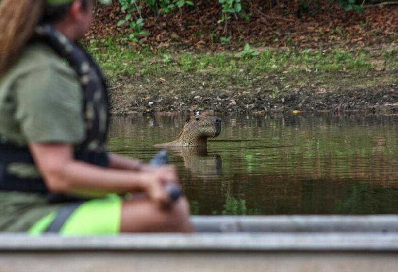 膳宿费 Aymara Lodge